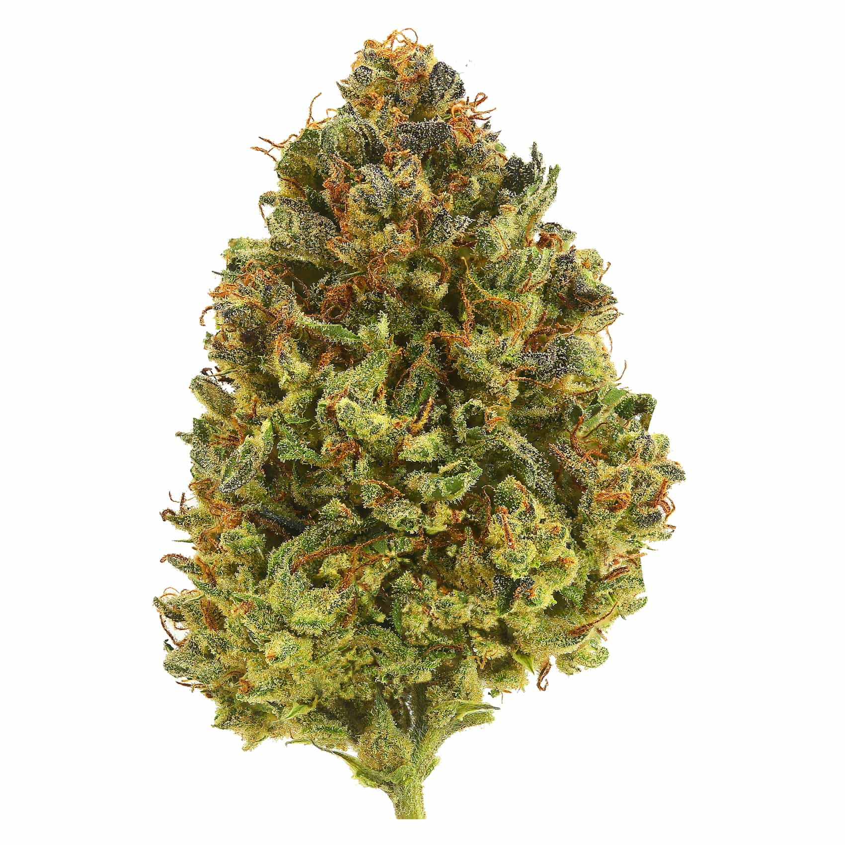 Conspiracy Kush
