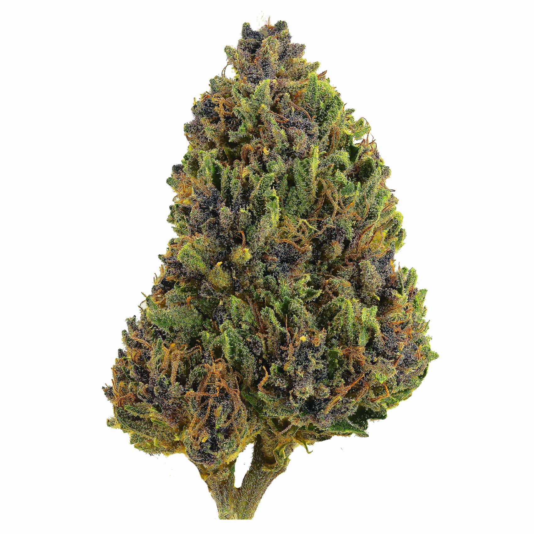Hash Herer
