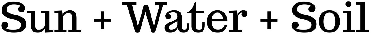 Alter Farms Living Soil Method